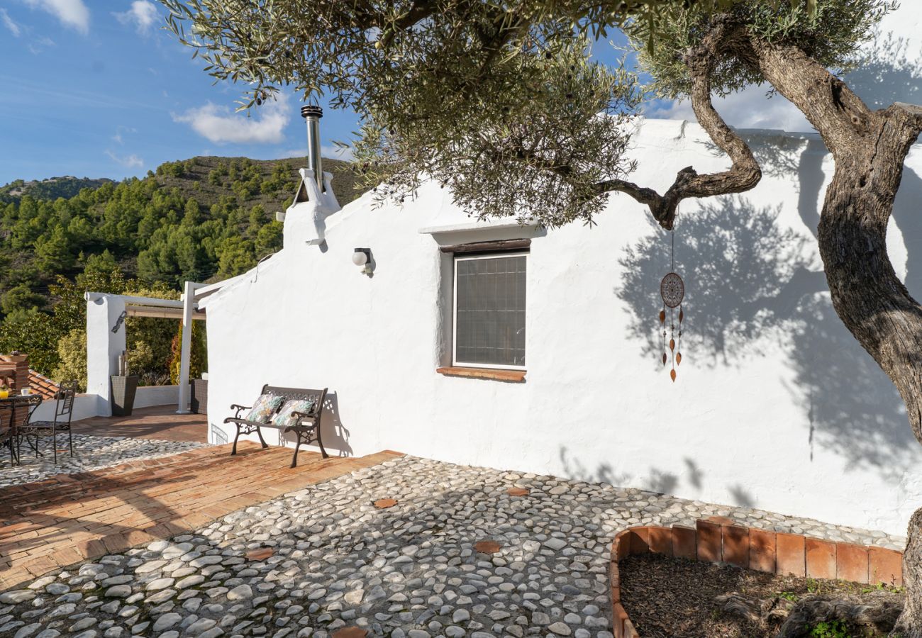 Cottage in Frigiliana - Acebuchal 001 