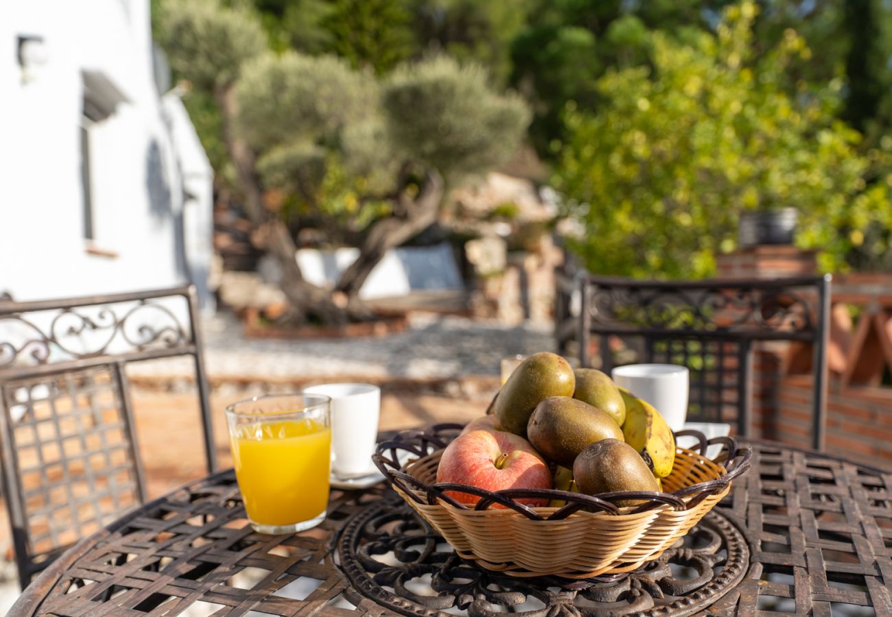 Cottage in Frigiliana - Acebuchal 001 