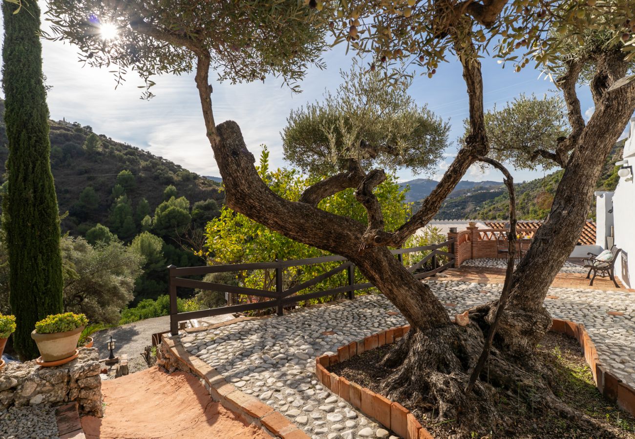 Cottage in Frigiliana - Acebuchal 001 