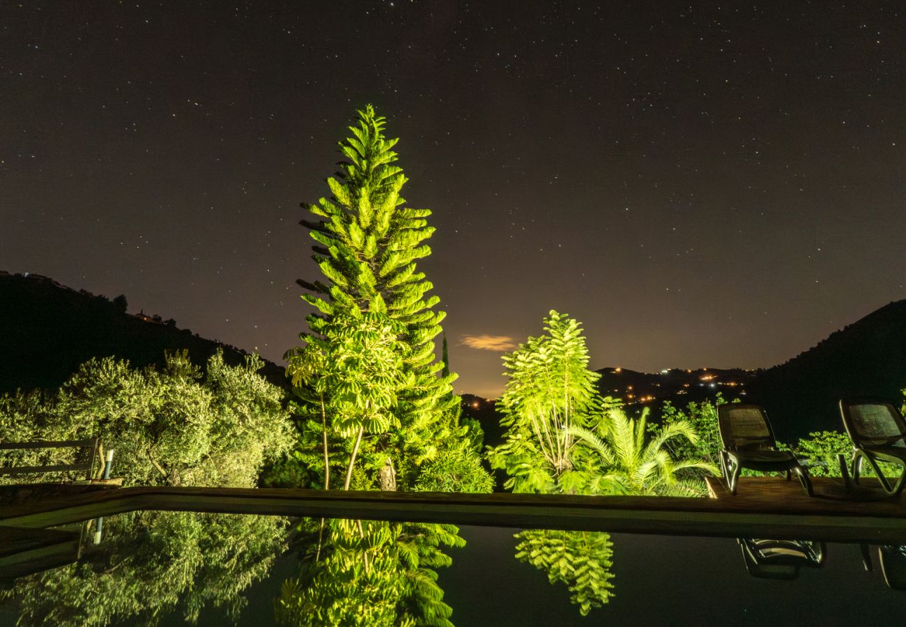 Cottage in Frigiliana - Acebuchal 001 