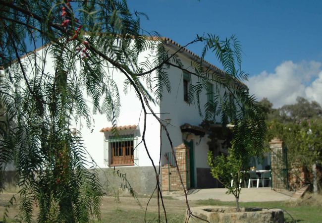 Cottage in Aroche - Aracena 005 Cottage in Aroche - Aracena 005