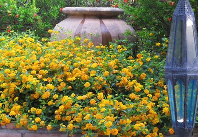 Cottage in Frigiliana - Frigiliana 010 Cottage in Frigiliana - Frigiliana 010