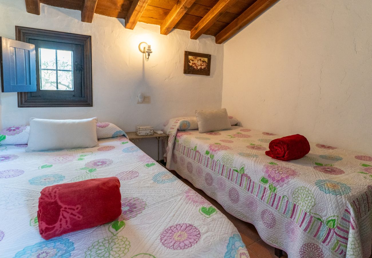 Villa in Frigiliana - Frigiliana 015 