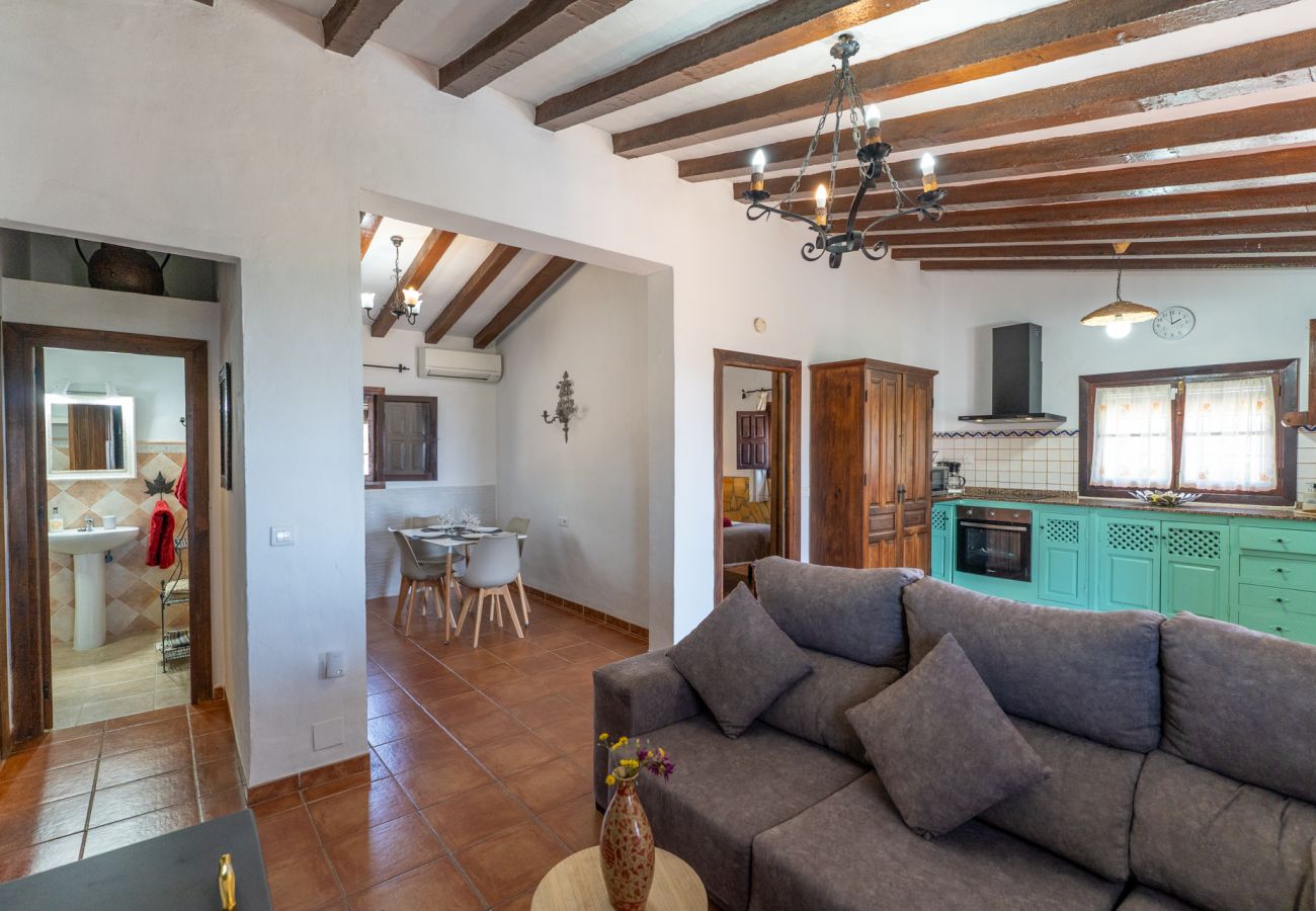 Villa in Frigiliana - Frigiliana 032