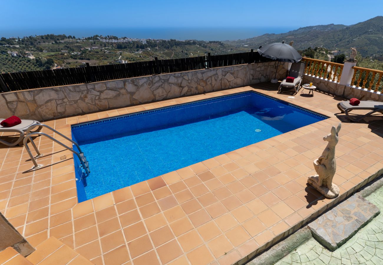 Villa in Frigiliana - Frigiliana 032