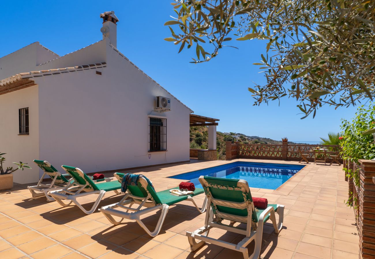 Villa in Frigiliana - Frigiliana 034