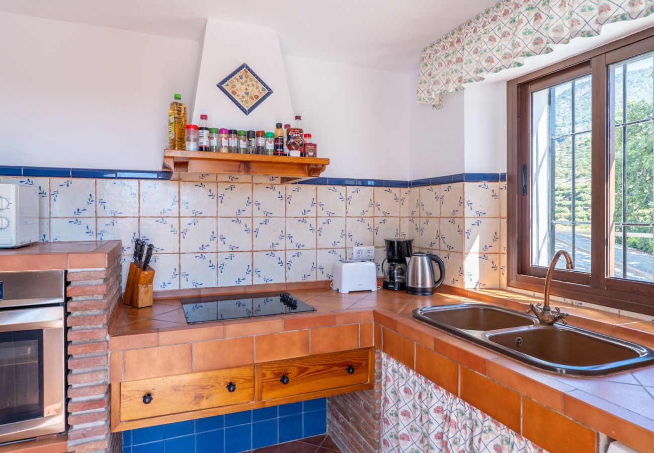 Villa in Frigiliana - Frigiliana 034