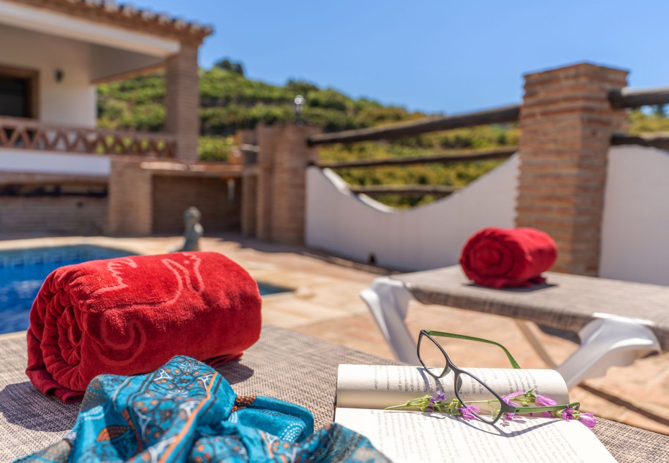 Villa in Frigiliana - Frigiliana 033