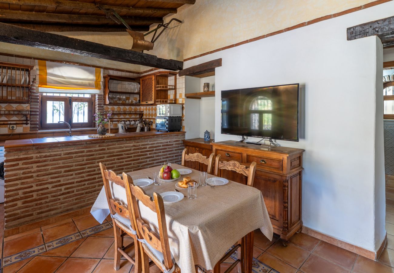 Villa in Frigiliana - Frigiliana 033