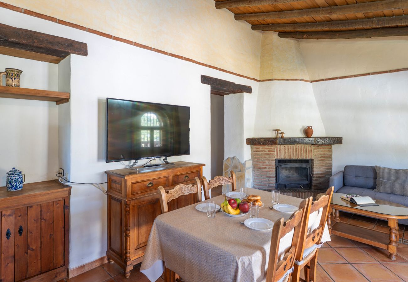 Villa in Frigiliana - Frigiliana 033
