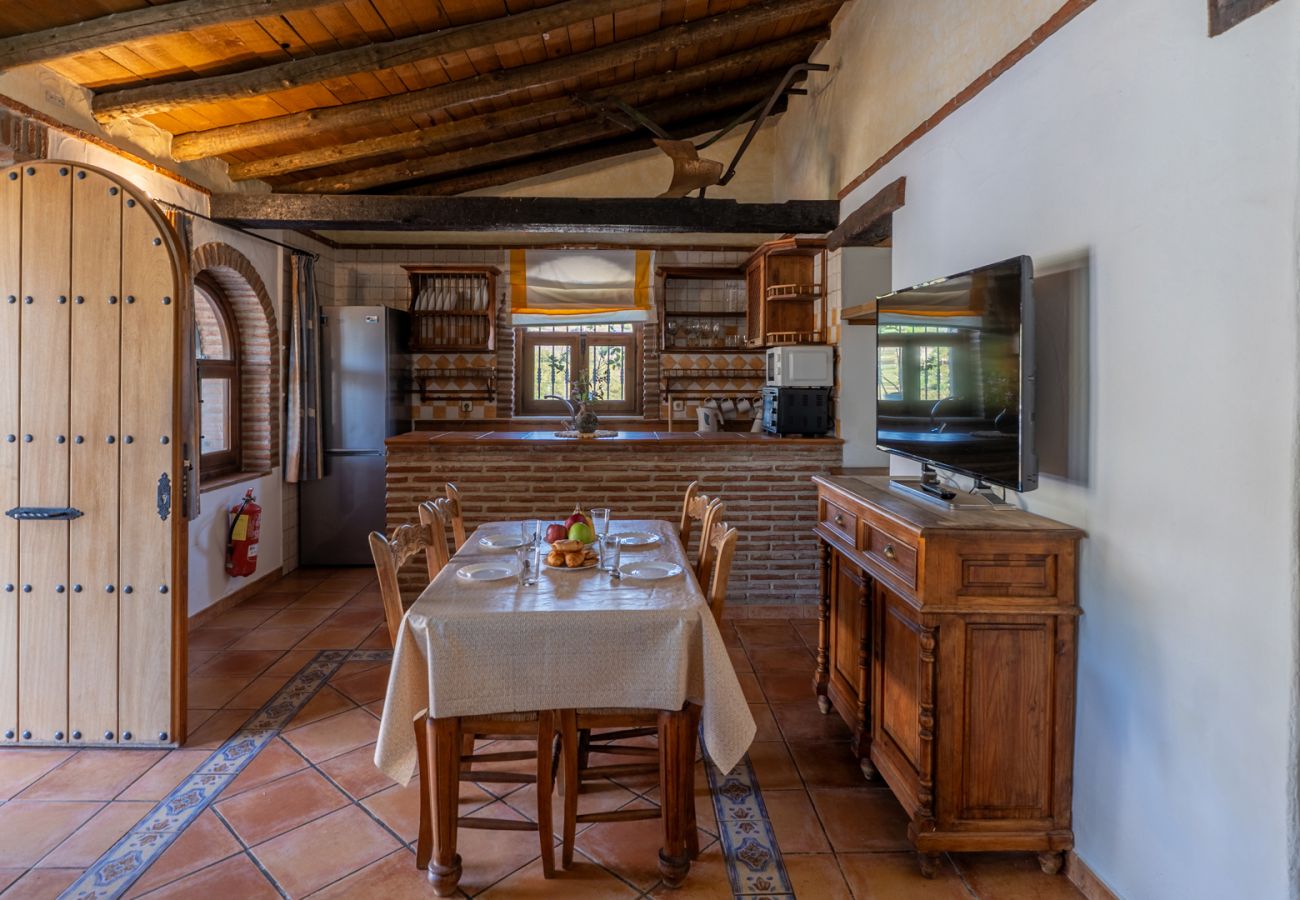 Villa in Frigiliana - Frigiliana 033
