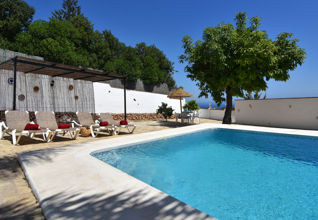 Villa in Nerja - Nerja 012 