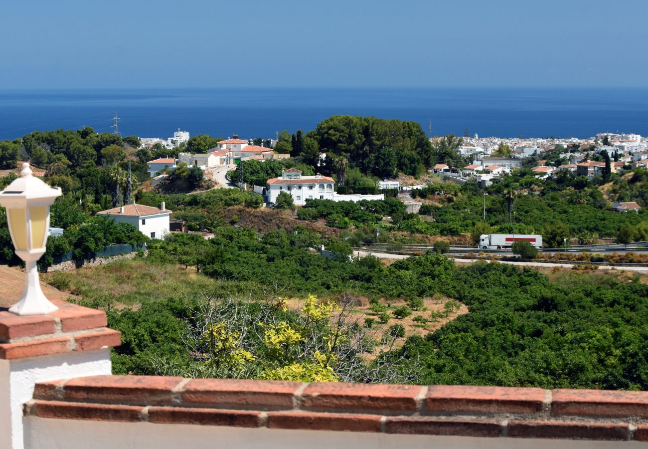 Villa in Nerja - Nerja 012 