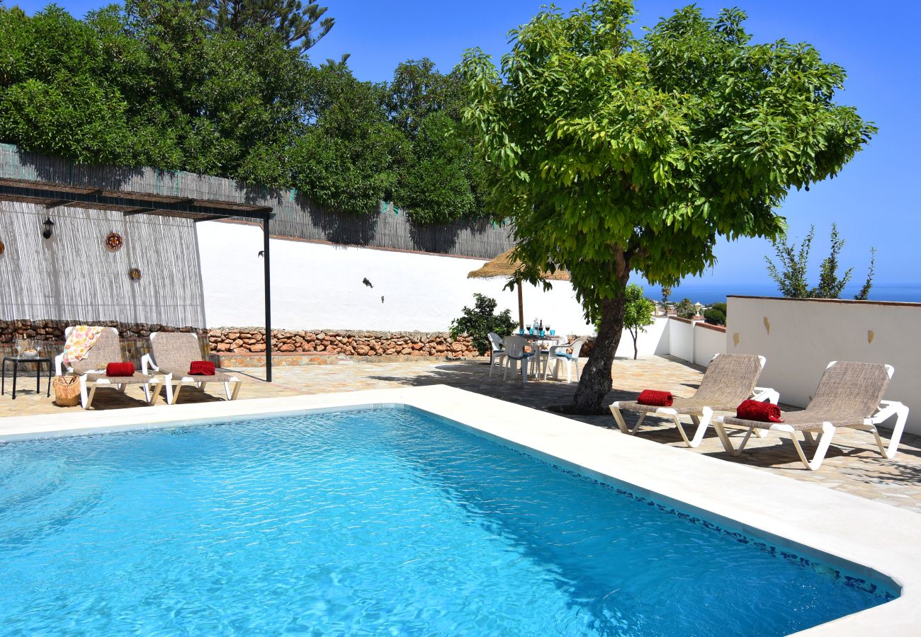 Villa in Nerja - Nerja 012 