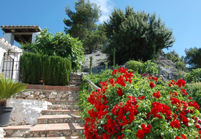 Villa in Frigiliana - Acebuchal 002 Villa in Frigiliana - Acebuchal 002