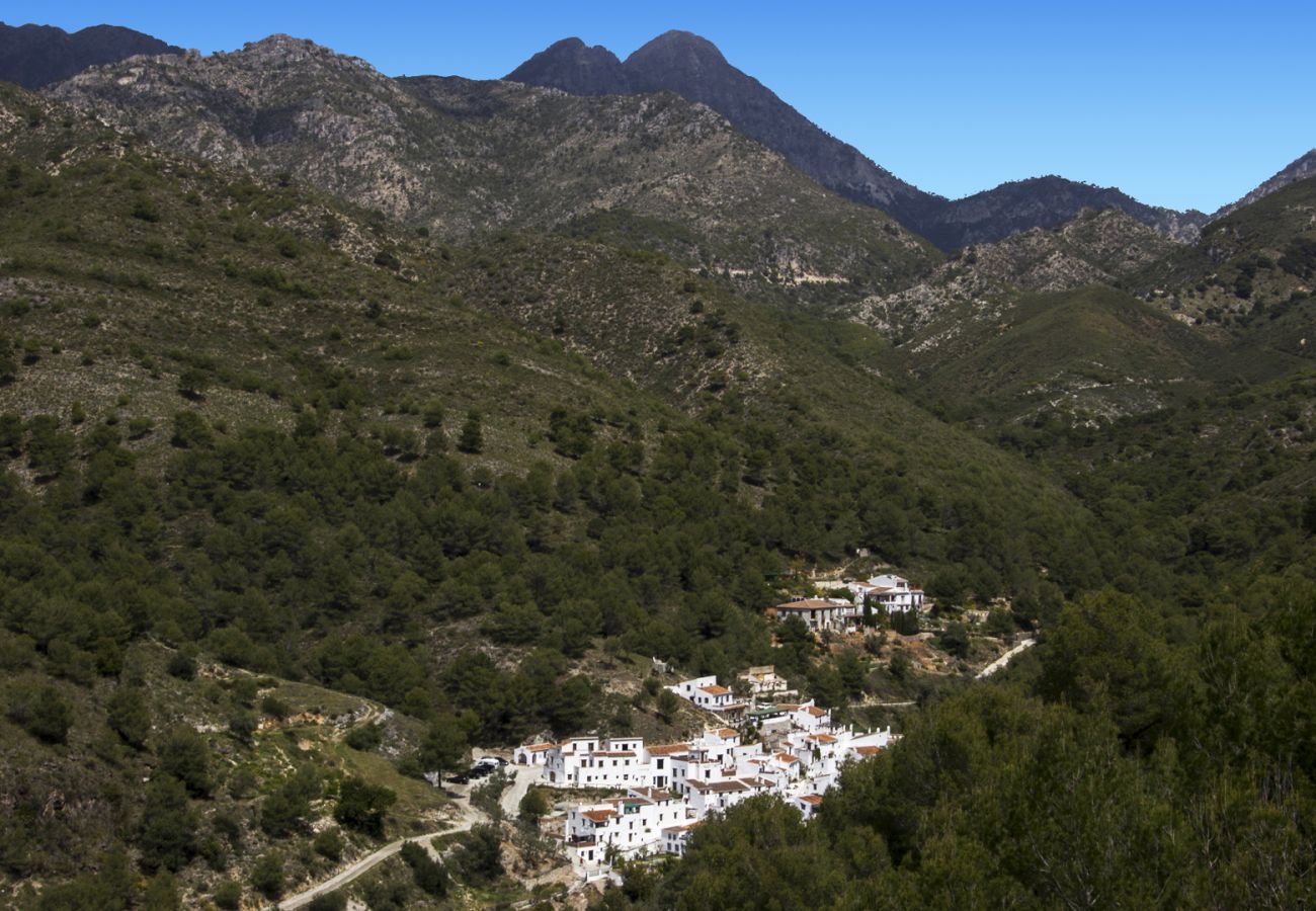 Villa in Frigiliana - Acebuchal 002