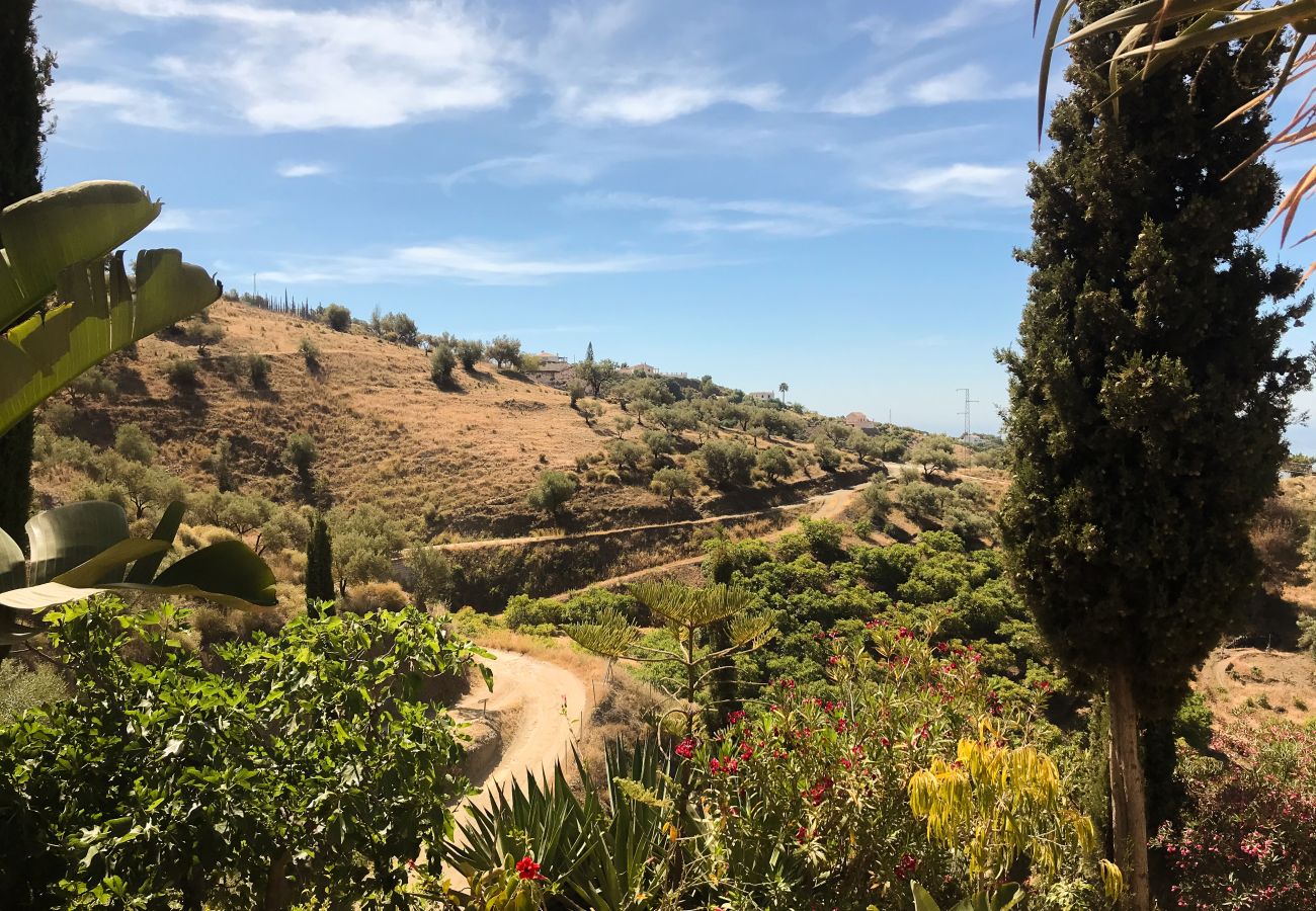 Villa in Frigiliana - Frigiliana 020
