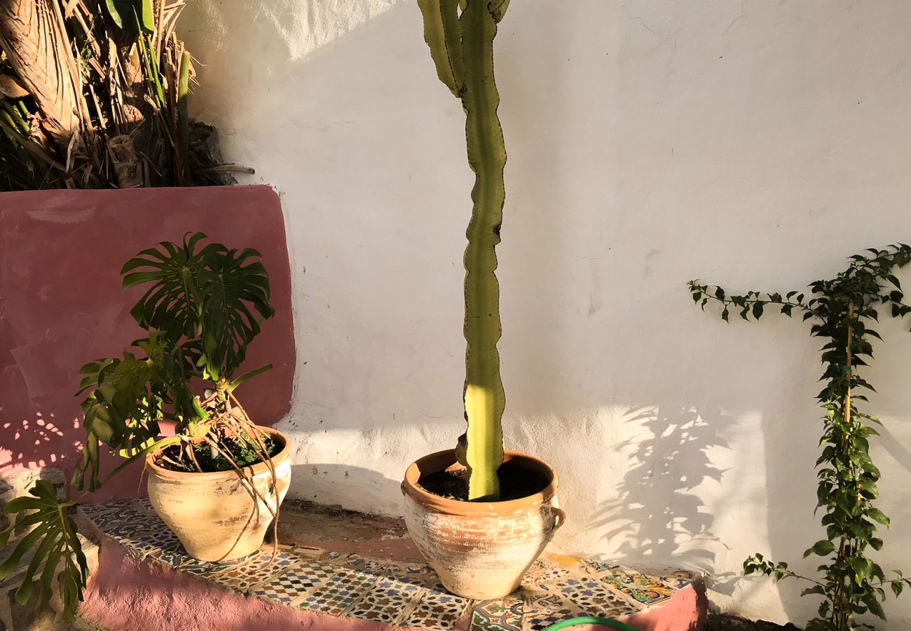 Villa in Frigiliana - Frigiliana 020