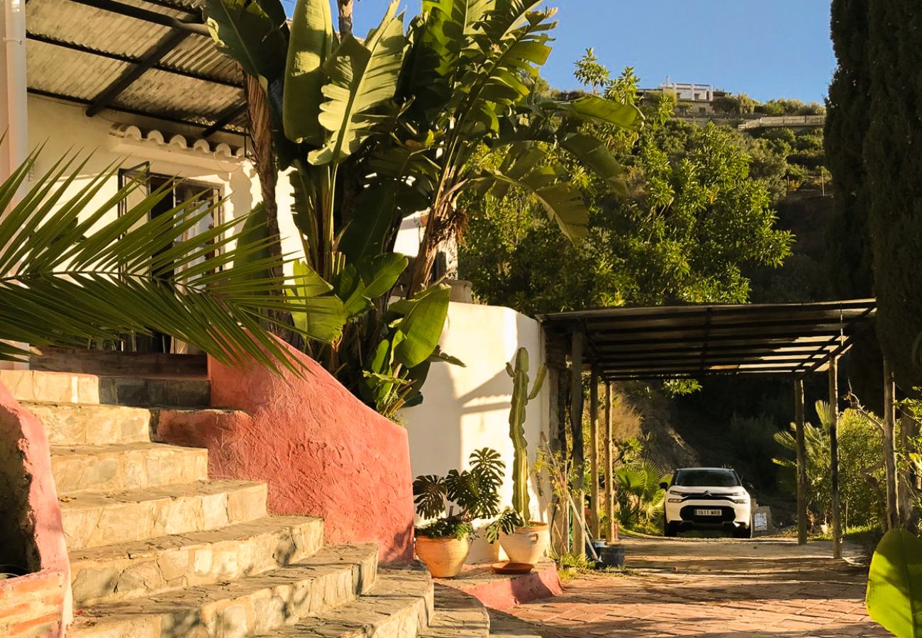 Villa in Frigiliana - Frigiliana 020